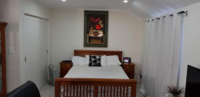 Beautiful and Bright Studio Apartment Botany Downs